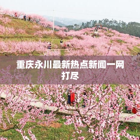 正声雅音 第2页