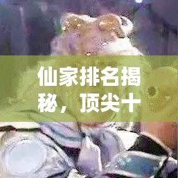 仙家排名揭秘，顶尖十大神仙榜单，你Pick谁？
