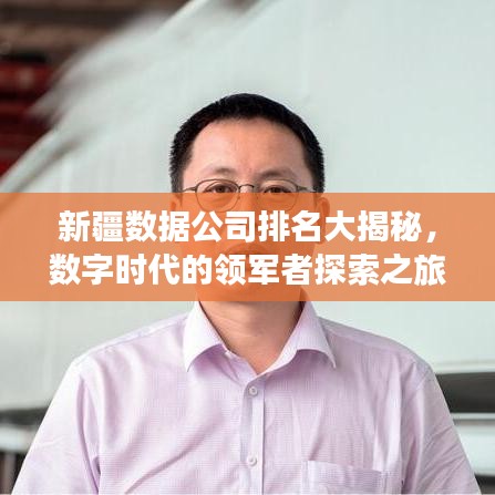 新疆数据公司排名大揭秘，数字时代的领军者探索之旅