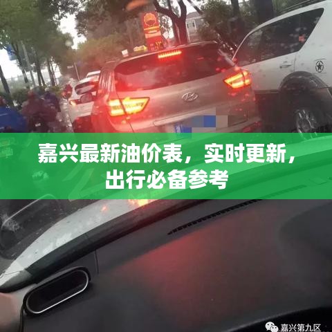 嘉兴最新油价表，实时更新，出行必备参考
