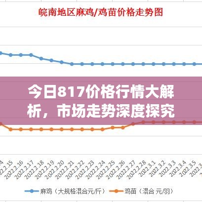 今日817价格行情大解析，市场走势深度探究与影响因素全揭秘