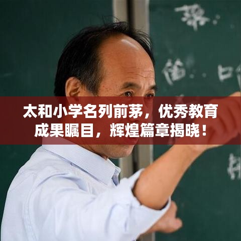 太和小学名列前茅，优秀教育成果瞩目，辉煌篇章揭晓！