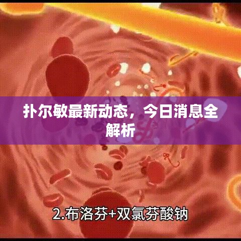 扑尔敏最新动态，今日消息全解析