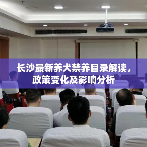 长沙最新养犬禁养目录解读，政策变化及影响分析