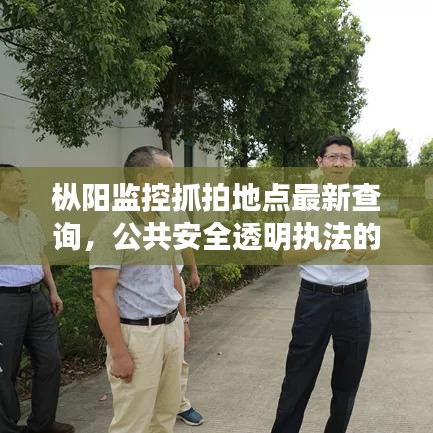 枞阳监控抓拍地点最新查询，公共安全透明执法的关键举措