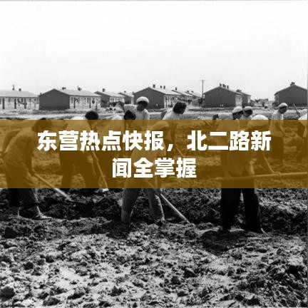 东营热点快报，北二路新闻全掌握
