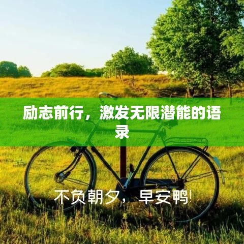 励志前行，激发无限潜能的语录