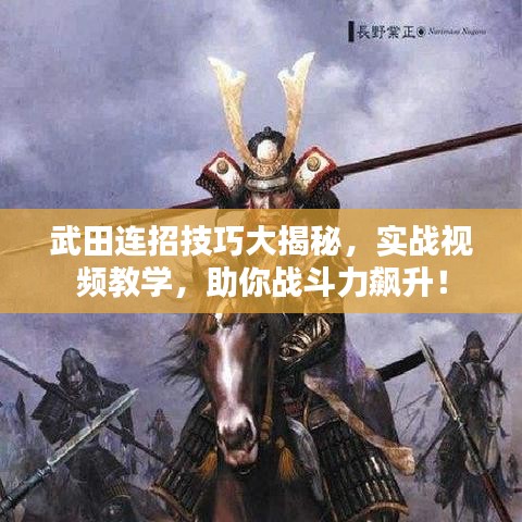 武田连招技巧大揭秘，实战视频教学，助你战斗力飙升！
