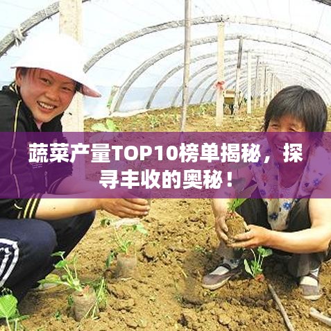 蔬菜产量TOP10榜单揭秘，探寻丰收的奥秘！