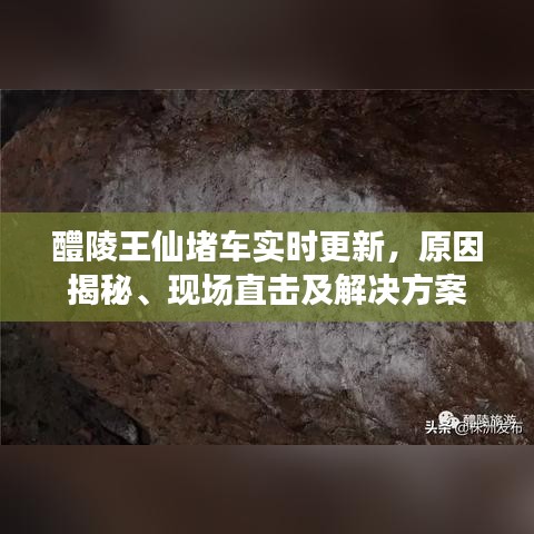 醴陵王仙堵车实时更新，原因揭秘、现场直击及解决方案