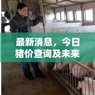 最新消息，今日猪价查询及未来趋势深度解析