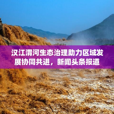 汉江渭河生态治理助力区域发展协同共进，新闻头条报道