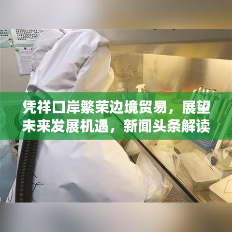 凭祥口岸繁荣边境贸易，展望未来发展机遇，新闻头条解读
