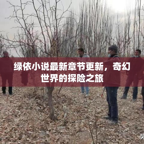绿依小说最新章节更新，奇幻世界的探险之旅