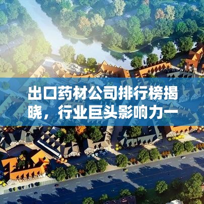 出口药材公司排行榜揭晓，行业巨头影响力一览