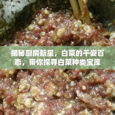 揭秘厨房新星，白菜的千姿百态，带你探寻白菜种类宝库