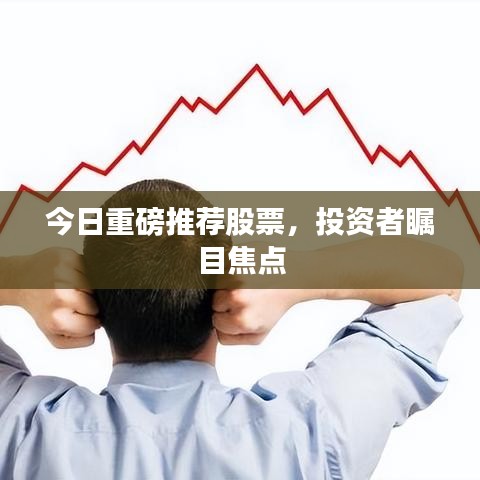 今日重磅推荐股票，投资者瞩目焦点
