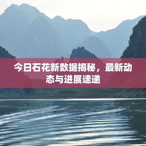 今日石花新数据揭秘，最新动态与进展速递