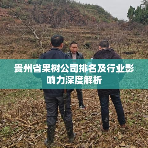 贵州省果树公司排名及行业影响力深度解析