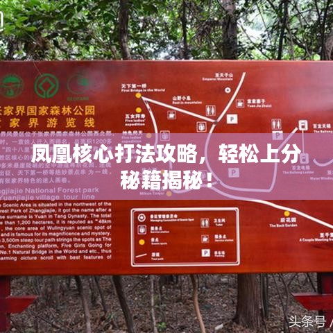凤凰核心打法攻略，轻松上分秘籍揭秘！