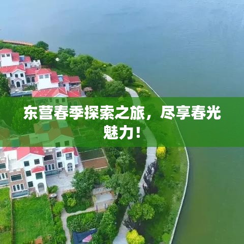 东营春季探索之旅，尽享春光魅力！