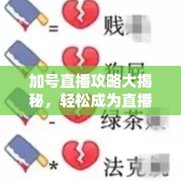 加号直播攻略大揭秘，轻松成为直播达人！
