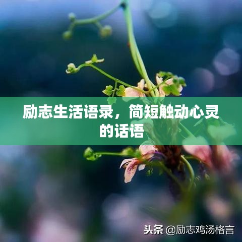 励志生活语录，简短触动心灵的话语