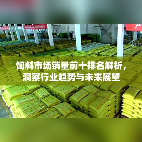 黑天摸地 第2页