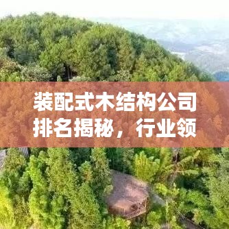 装配式木结构公司排名揭秘，行业领军者一览
