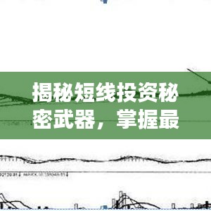 揭秘短线投资秘密武器，掌握最新利润动态！