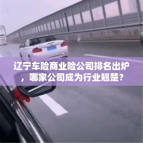 辽宁车险商业险公司排名出炉，哪家公司成为行业翘楚？