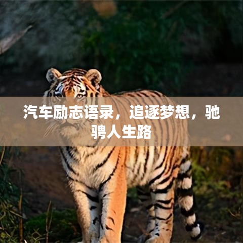 汽车励志语录，追逐梦想，驰骋人生路
