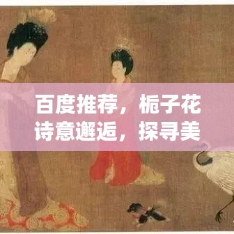百度推荐，栀子花诗意邂逅，探寻美好与宁静的旅程