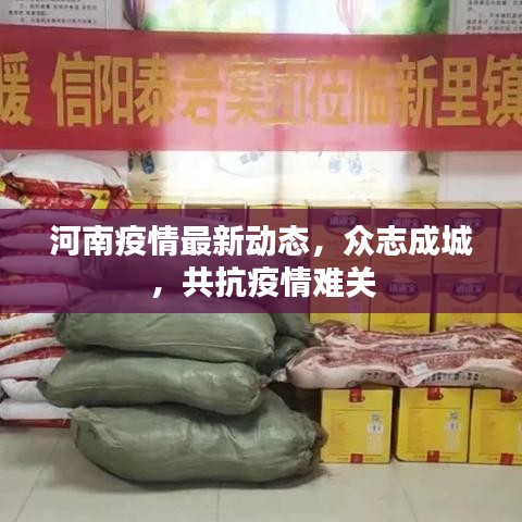 河南疫情最新动态，众志成城，共抗疫情难关