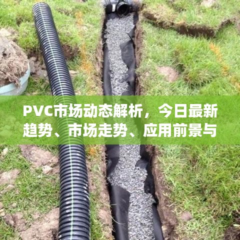 PVC市场动态解析，今日最新趋势、市场走势、应用前景与产业发展深度分析