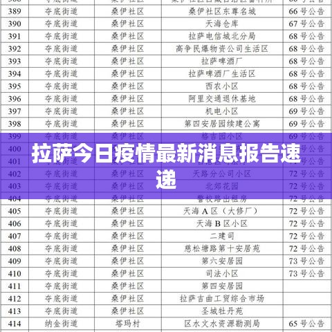 拉萨今日疫情最新消息报告速递