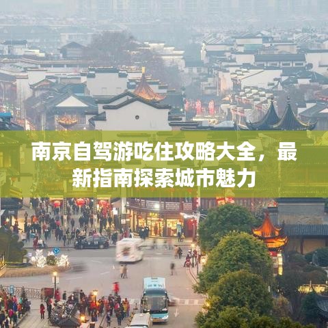 南京自驾游吃住攻略大全，最新指南探索城市魅力