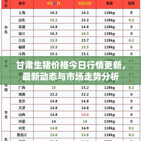 甘肃生猪价格今日行情更新，最新动态与市场走势分析