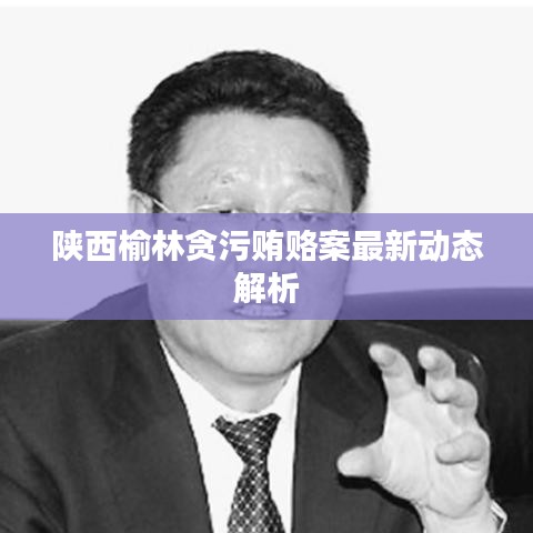 陕西榆林贪污贿赂案最新动态解析