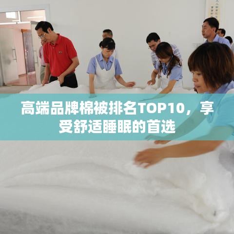 高端品牌棉被排名TOP10，享受舒适睡眠的首选