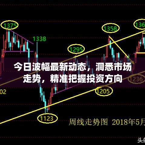 今日波幅最新动态，洞悉市场走势，精准把握投资方向