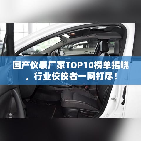 国产仪表厂家TOP10榜单揭晓，行业佼佼者一网打尽！