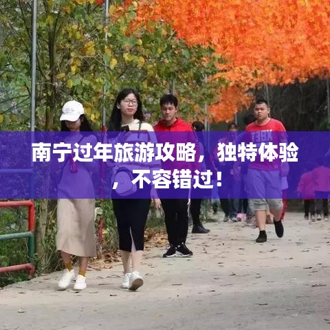 南宁过年旅游攻略，独特体验，不容错过！
