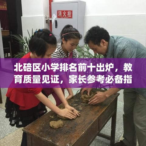 北碚区小学排名前十出炉，教育质量见证，家长参考必备指南