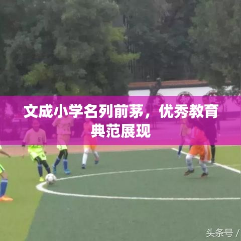 文成小学名列前茅，优秀教育典范展现