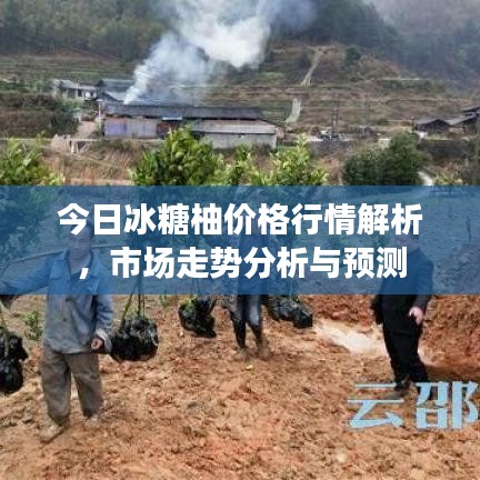 雍容雅步 第2页