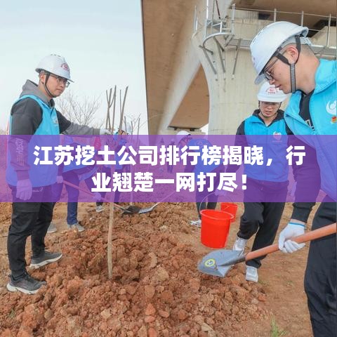 江苏挖土公司排行榜揭晓，行业翘楚一网打尽！