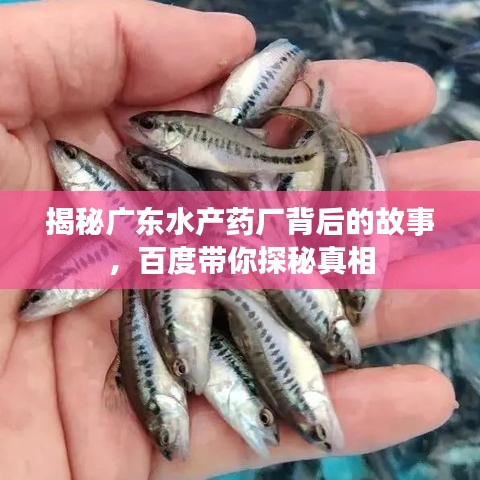 鸟入樊笼 第2页