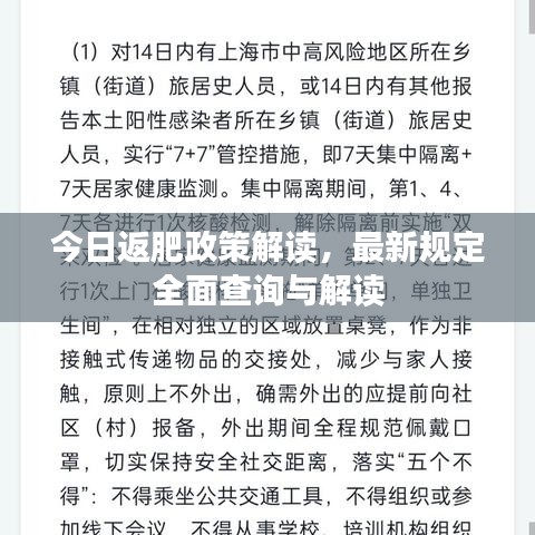 今日返肥政策解读，最新规定全面查询与解读