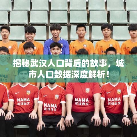 揭秘武汉人口背后的故事，城市人口数据深度解析！